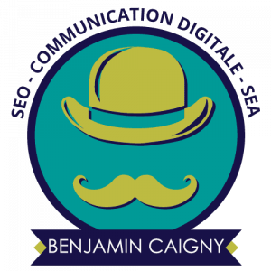 Consultant SEO Freelance